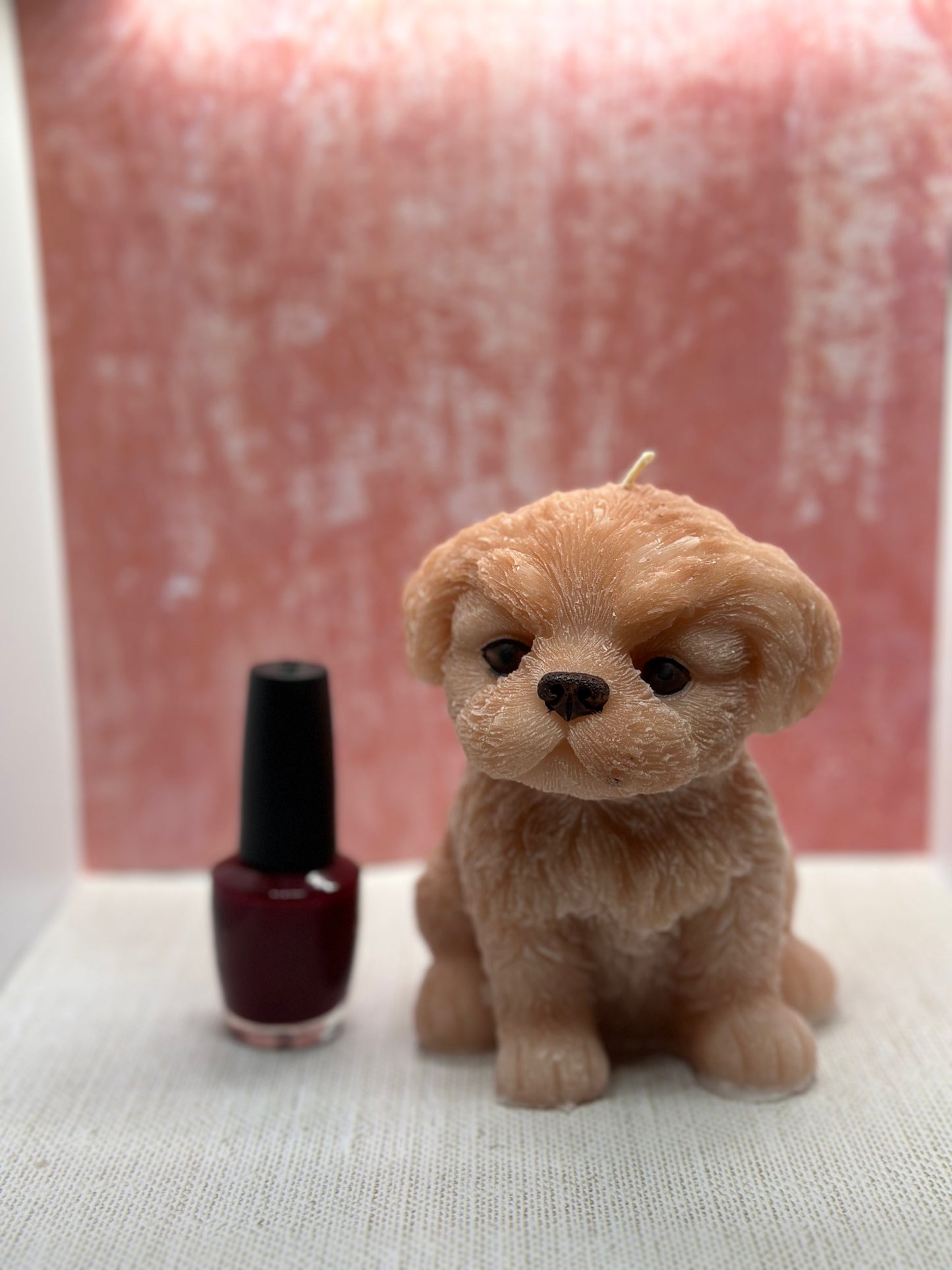 Large Shih Tzu dog candle