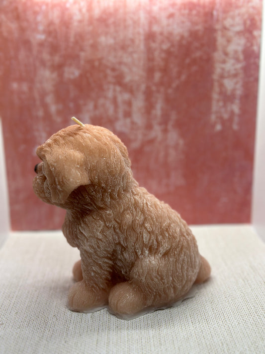 Large Shih Tzu dog candle