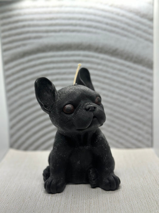 Large French Bulldog