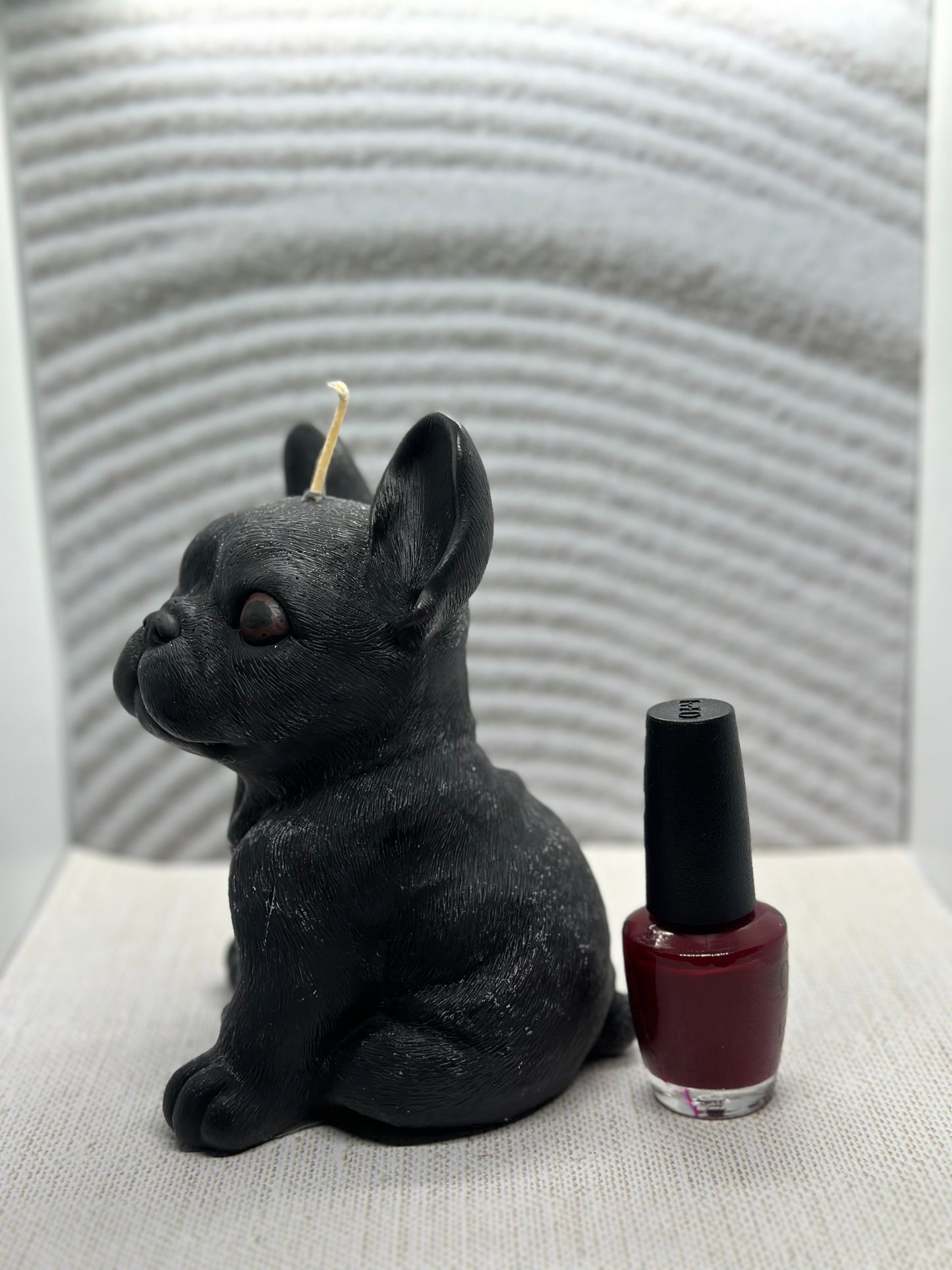 Large French Bulldog