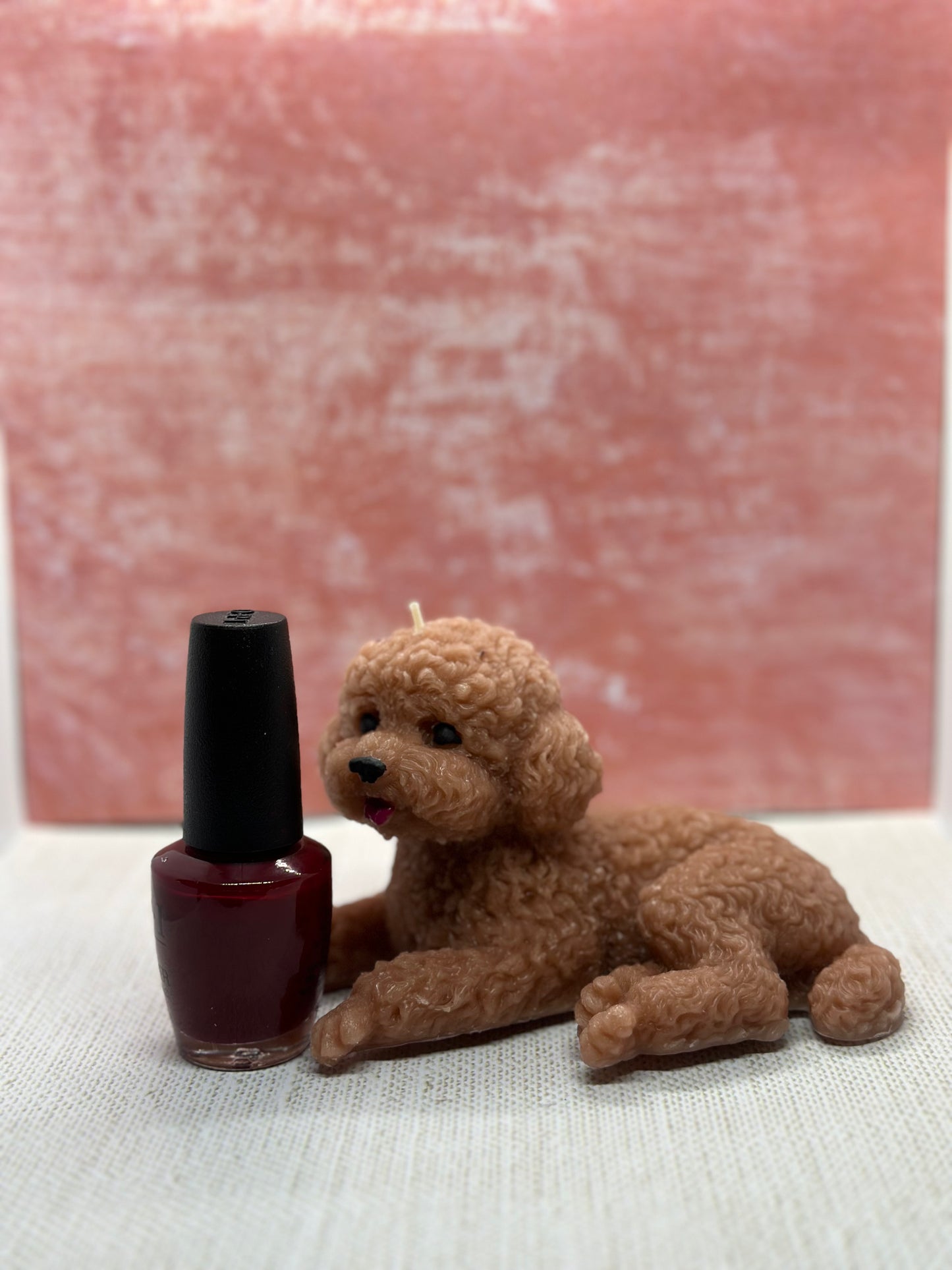 poodle candle dog