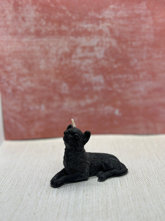 chihuahua candle small