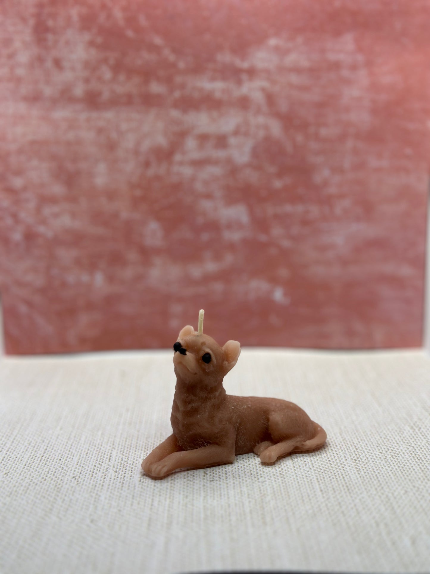 chihuahua candle small