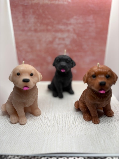 Labrador candle dog (MEDIUM)
