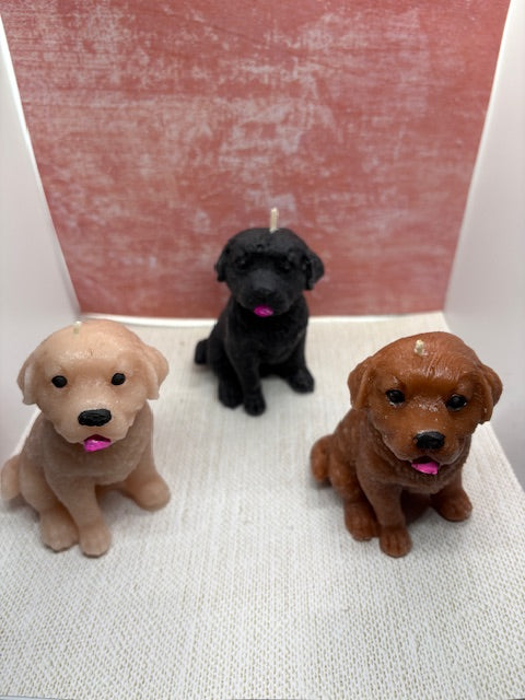 Labrador candle dog (MEDIUM)
