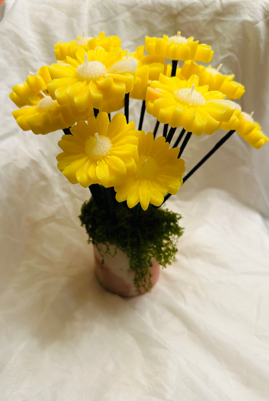 Daisy bouquet