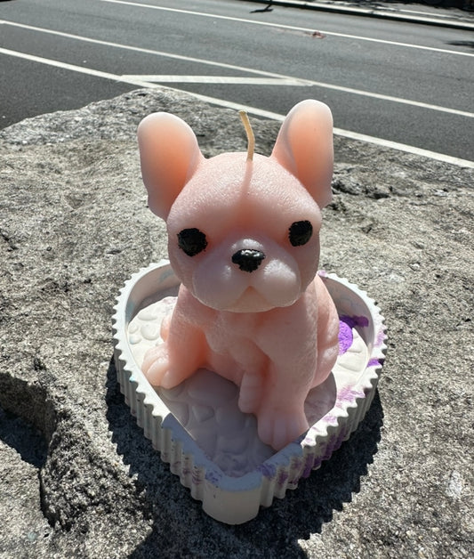 Large French Bulldog