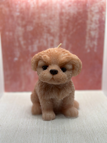 Large Shih Tzu dog candle