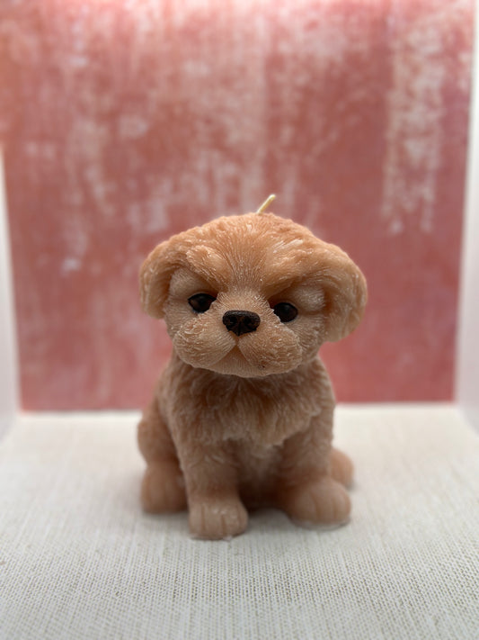 Large Shih Tzu candle
