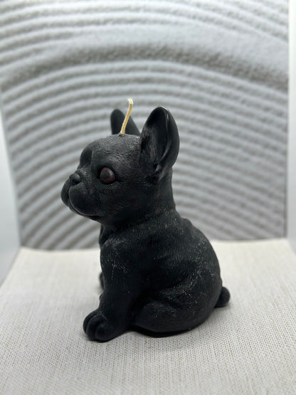 Large French Bulldog