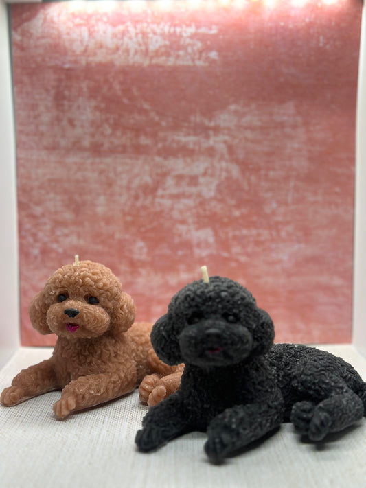 poodle candle dog