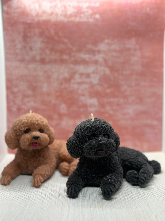 poodle candle dog