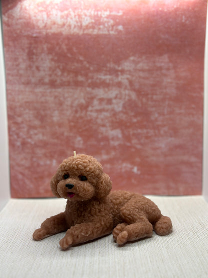 poodle candle dog
