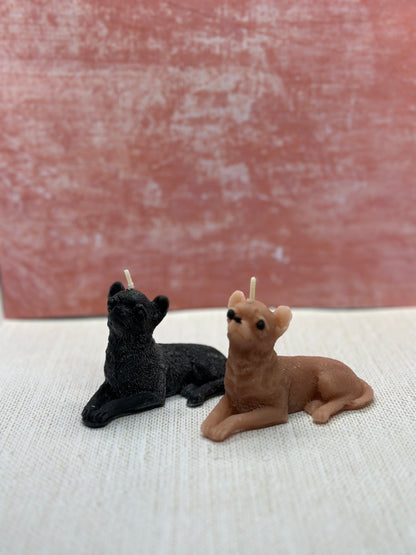 chihuahua candle small