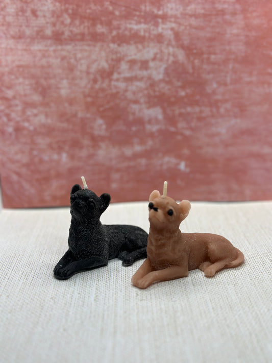 chihuahua candle small