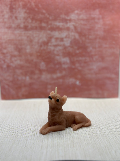 chihuahua candle small