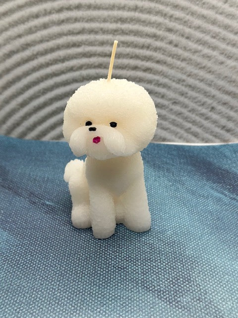 Bichon Frisé (medium)