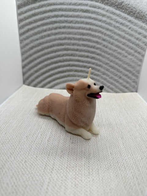 Welsh Corgi candle (medium)