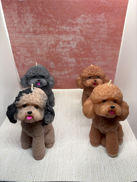 Poodle candle dog (medium)