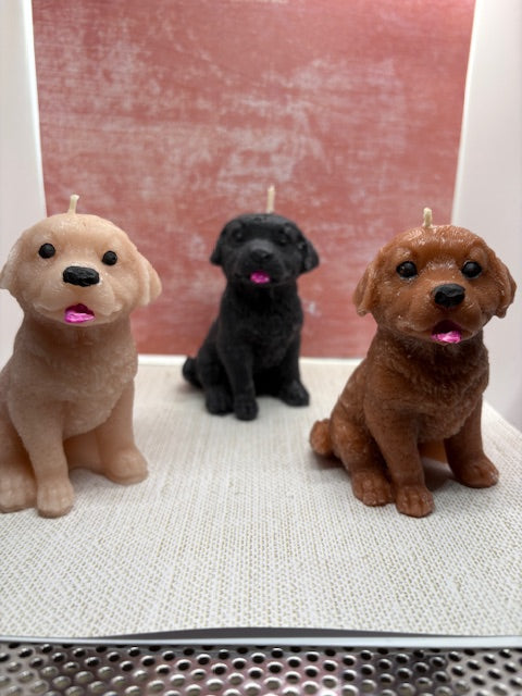 Labrador candle dog (MEDIUM)