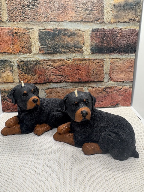 Handmade coconut wax Rottweiler Candle